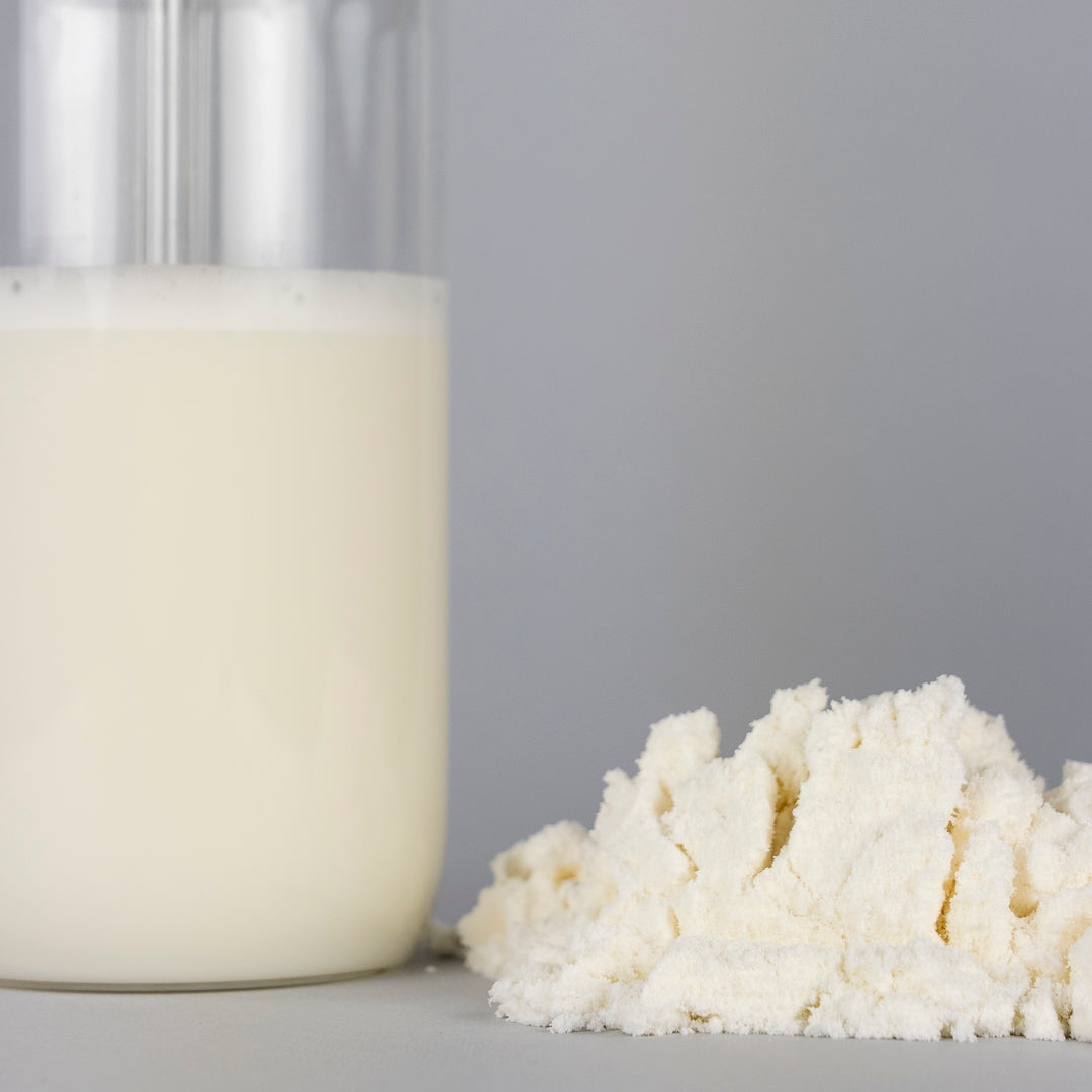 ZERO WHEY PROTEIN CONCENTRATE - SENZA LATTOSIO