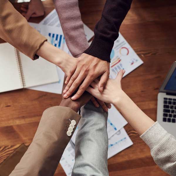 LA COLLABORAZIONE