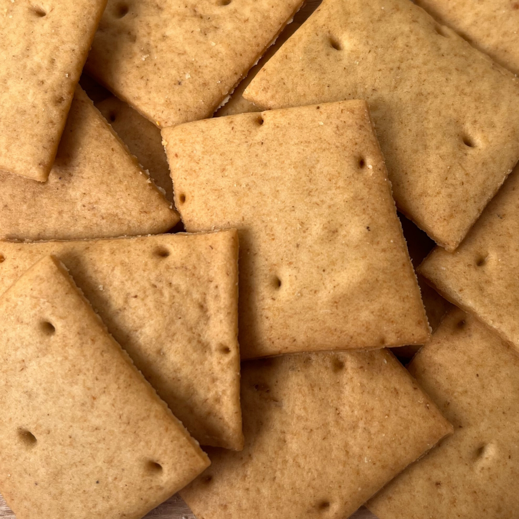 Cracker proteici Bio-con okara di Avena - 40gr
