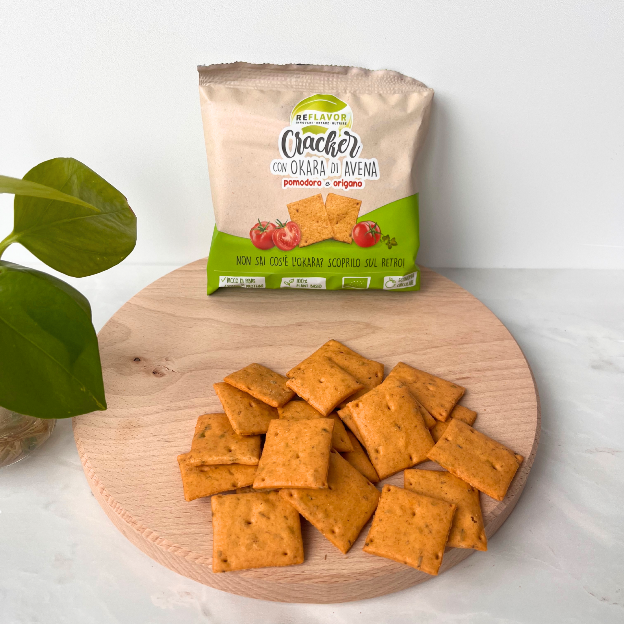 Cracker proteici Bio-con okara di Avena - 40gr