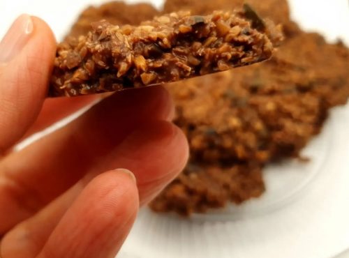 NO BAKE COOKIES